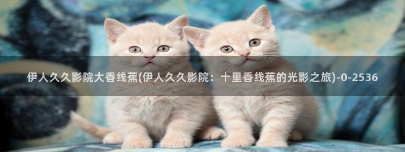 伊人久久91成人影院：伊人久久影院大香线蕉(伊人久久影院：十里香线蕉的光影之旅)