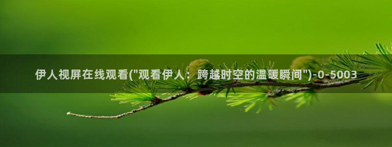 伊人久久小影院66