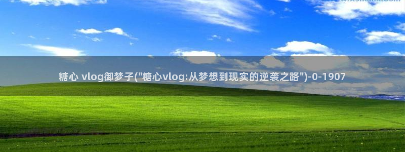 糖心vlog一区二区精品
