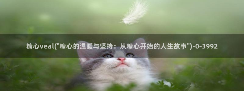 糖心vlog免费高清