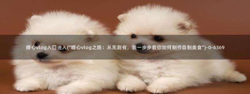 糖心vlog免费高清