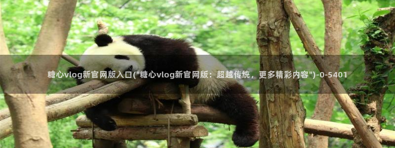 唐伯虎糖心vlog在线