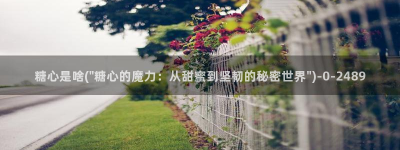 糖心vlog0