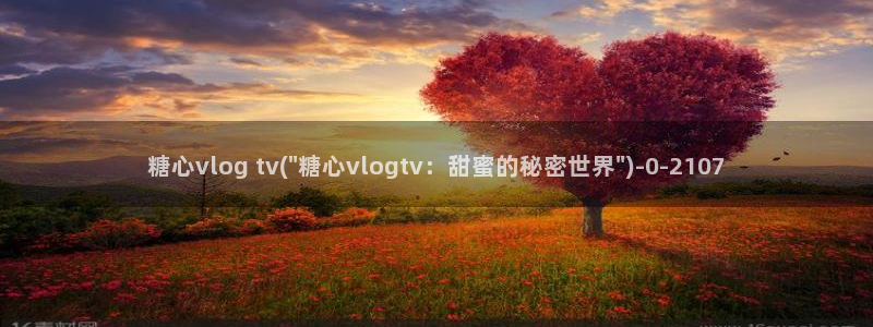 深夜释放自己vlog糖心德力西