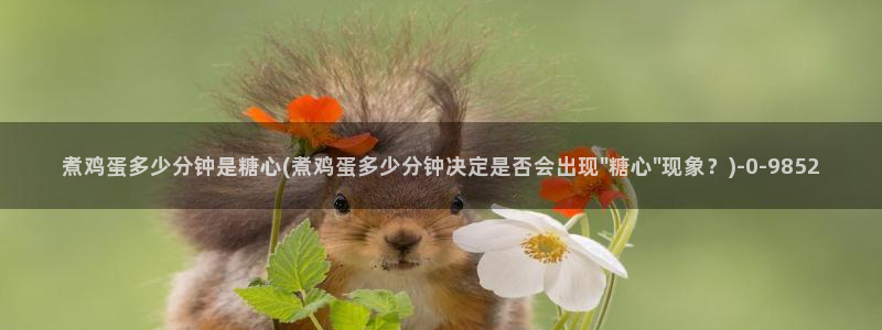 糖心vlog饼干