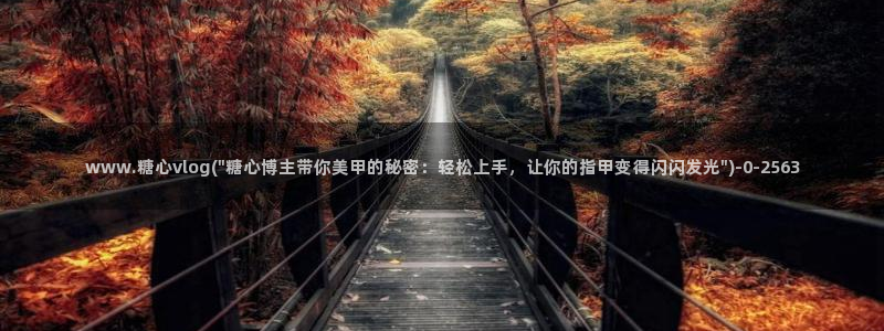 vlog糖心官网