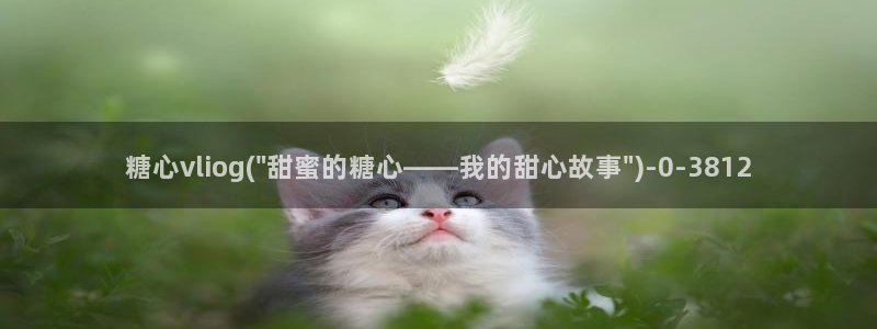 糖心vlog向然