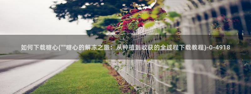 糖心vlog免费在线看