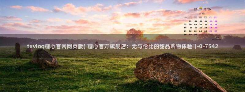 糖心vlog工作室